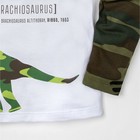 Футболка с длинным рукавом для мальчика "Динозавр", белая, р-р 32 (110-116 см) 5-6 л 100 % хл - Фото 5