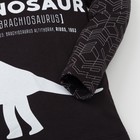 Футболка с длинным рукавом для мальчика "Динозавр", чёрная, р-р 34 (122-128 см) 7-8 л 100 % хл - Фото 5