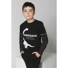Футболка с длинным рукавом для мальчика "Динозавр", чёрная, р-р 34 (122-128 см) 7-8 л 100 % хл - Фото 2