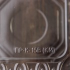 Контейнер одноразовый с неразъёмной крышкой ПР-К-15 В, пластик, квадратный, 250 мл, 15.2×8.1 см, прозрачный - Фото 3
