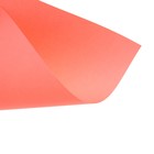 Бумага цветная А4, 50 листов CREATIVE Неон, 5 цветов, 80 г/м2 - фото 51314339 Бумага цветная А4, 50 листов CREATIVE Неон, 5 цветов, 80 г/м2 - фото 51314339