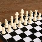 Шахматы, доска пластик 31 х 31 см, король 8 см, пешка 3.8 см - Фото 2