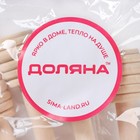 Ложка для мёда Доляна Honey, 15.5 см - Фото 5