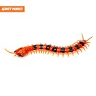 Животное радиоуправляемое «Сороконожка», работает от аккумулятора, свет, МИКС - Фото 4