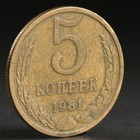 Монета "5 копеек 1981 года" - Фото 1