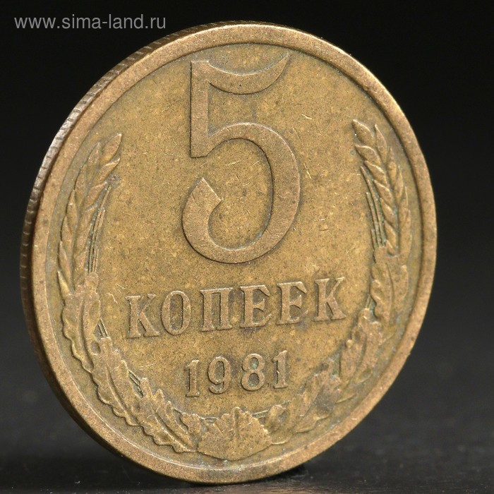Монета "5 копеек 1981 года" - Фото 1
