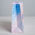 Пакет подарочный ламинированный вертикальный, упаковка, Sweet, ML 23 х 27 х 11,5 см - Фото 2