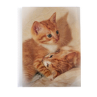 Фотоальбом на 36 фото 10х15 см Pioneer Puppies and kittens рыжие котята - фото 319856843