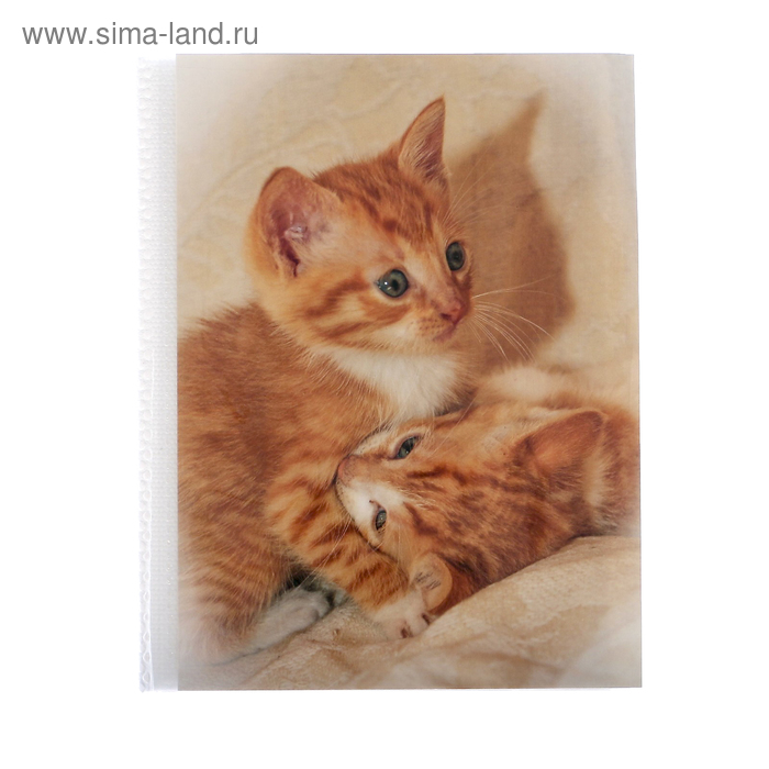 Фотоальбом на 36 фото 10х15 см Pioneer Puppies and kittens рыжие котята - Фото 1