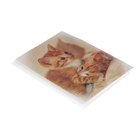 Фотоальбом на 36 фото 10х15 см Pioneer Puppies and kittens рыжие котята - Фото 2