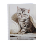 Фотоальбом на 36 фото 10х15 см Pioneer Puppies and kittens котенок - фото 9377141