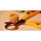 Ножницы для перепелиных яиц, 14 см, МИКС - Фото 3