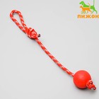 Игрушка "Шарик на веревке", 5,5 см, каучук, микс цветов - фото 318081234