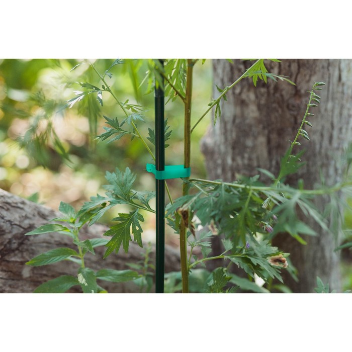 Тапенер для подвязки растений Tapetool «B», лента 25 м + скобы, Greengo - фото 1898127241