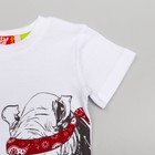 Комплект: футболка, шорты для мальчика, рост 110 (60) см, цвет белый, серо-зелёный - Фото 4