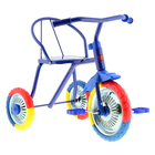 Велосипед трёхколёсный «Тип-Топ 313», колёса 10" и 8", цвет синий - Фото 1