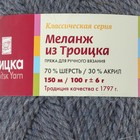 Пряжа "Меланж из Троицка" 70% шерсть, 30% акрил 150м/100гр (8258 меланж (джинс.)) - Фото 3