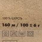 Пряжа "Селена" 100% шерсть 160м/100гр (1507 натуральный) - Фото 3