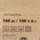 Пряжа "Селена" 100% шерсть 160м/100гр (1191 натуральн. коричневый) - Фото 3