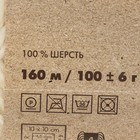 Пряжа "Селена" 100% шерсть 160м/100гр (0770 натуральн. светлый) - Фото 3