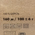 Пряжа "Селена" 100% шерсть 160м/100гр (2459 натуральн. тёмный) - Фото 3