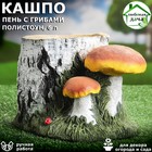 Кашпо "Пень берёзовый с грибами", разноцветное, полистоун, 6 л - Фото 1