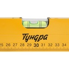 Уровень алюминиевый ТУНДРА, 3 глазка, линейка, 600 мм - Фото 6
