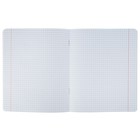 Тетрадь 12 листов клетка "МИКС Д", обложка мелованный картон, 10 видов - Фото 2