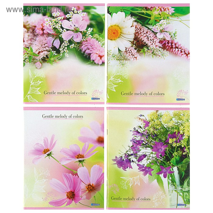 Брошюра для записей 96 листов клетка "Цветы-4", обложка мелованный картон, 4 вида МИКС - Фото 1