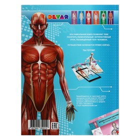 Энциклопедия 4D в дополненной реальности «Анатомия»