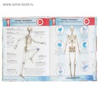 Энциклопедия 4D в дополненной реальности «Анатомия» - Фото 11