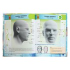 Энциклопедия 4D в дополненной реальности «Анатомия» - Фото 6