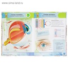 Энциклопедия 4D в дополненной реальности «Анатомия» - Фото 10