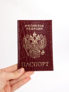 Обложка для паспорта, натуральная кожа, тиснение фольгой, крокодил, бордовая - Фото 4