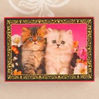Шкатулка «Котята», красная, 10×14 см, лаковая миниатюра - Фото 2