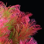 Растение искусственное аквариумное 18 х 6,5 х 27 см (комплект 2 шт) - фото 38005376