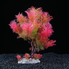 Растение искусственное аквариумное 18 х 6,5 х 27 см (комплект 2 шт) - фото 38005377