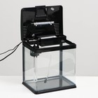 Аквариум SeaStar HX-240ZF в комплекте: LED-лампа двухцветная, фильтр 200 л/ч, 12 л, черный - Фото 3