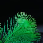 Растение искусственное аквариумное - Фото 3