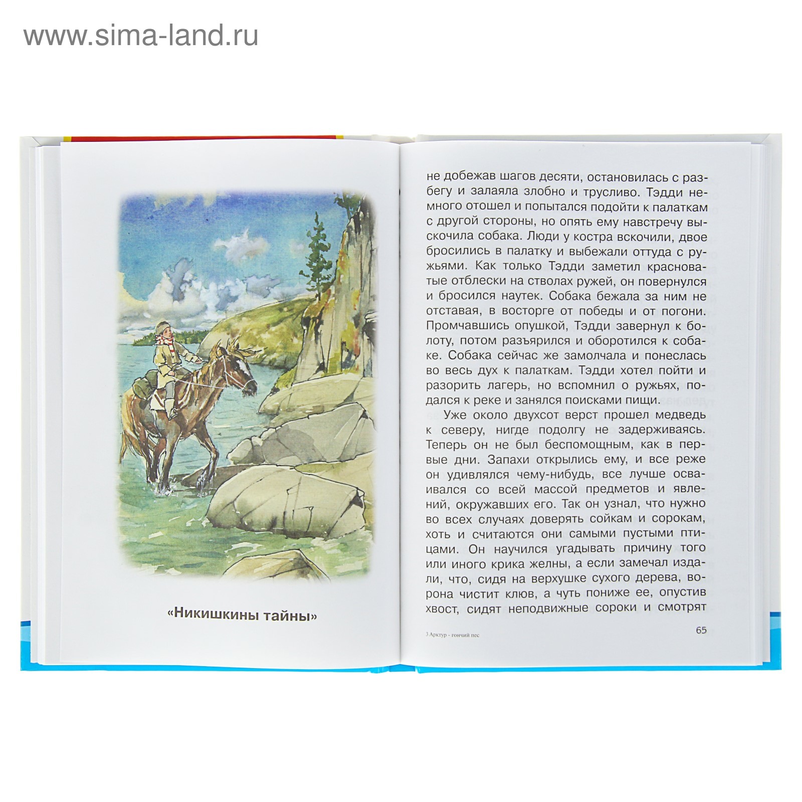 Никишкины тайны краткое содержание. Иллюстрации к рассказу Никишкины тайны. Никишкины тайны книга. Рисунок по рассказу Никишкины тайны.