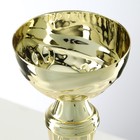 Кубок 150С, наградная фигура, золото, подставка камень, 17,3 х 7 х 5 см. - Фото 6