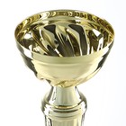 Кубок 151С, наградная фигура, золото, подставка камень, 22 х 7 х 5,2 см - Фото 6