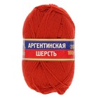 Пряжа "Аргентинская шерсть" 100% импортная п/т шерсть 200м/100гр (124 т. коралл) - Фото 2