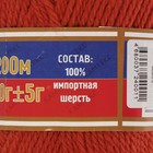 Пряжа "Аргентинская шерсть" 100% импортная п/т шерсть 200м/100гр (124 т. коралл) - Фото 3