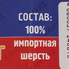 Пряжа "Аргентинская шерсть" 100% импортная п/т шерсть 200м/100гр (006 св. бежев.) - Фото 3