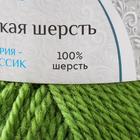 Пряжа "Аргентинская шерсть" 100% импортная п/т шерсть 200м/100гр (130 липа) - Фото 4