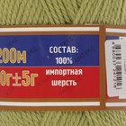 Пряжа "Аргентинская шерсть" 100% импортная п/т шерсть 200м/100гр (189 фисташка) - Фото 3