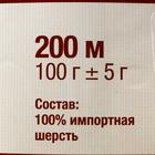 Пряжа "Аргентинская шерсть" 100% импортная п/т шерсть 200м/100гр (045 зел. яблоко) - Фото 4