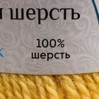 Пряжа "Аргентинская шерсть" 100% импортная п/т шерсть 200м/100гр (031 шампанское) - Фото 4