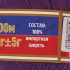 Пряжа "Аргентинская шерсть" 100% импортная п/т шерсть 200м/100гр (009 фиалка) - Фото 3